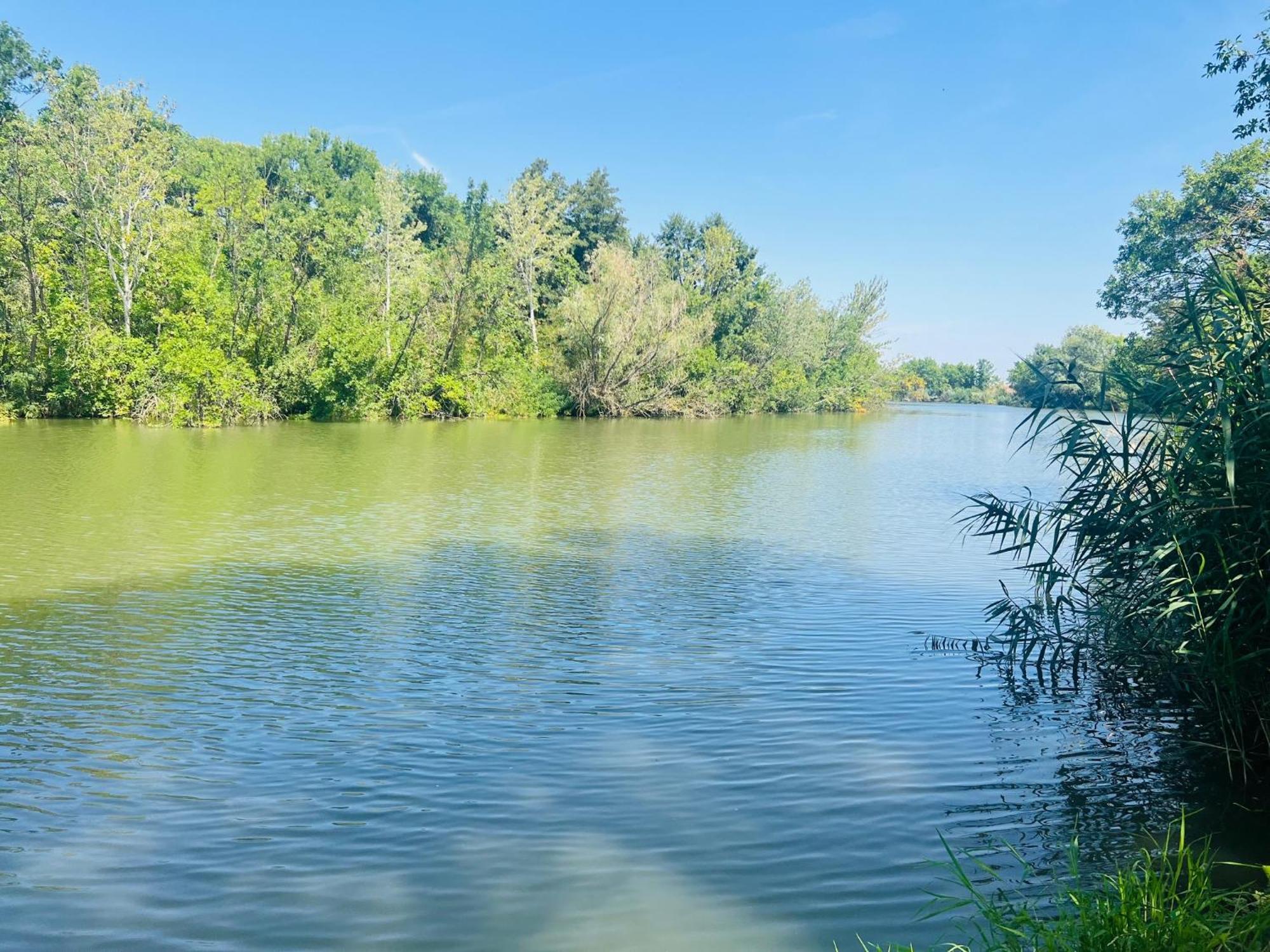 Arany Vendeghaz Βίλα Szarvas Εξωτερικό φωτογραφία